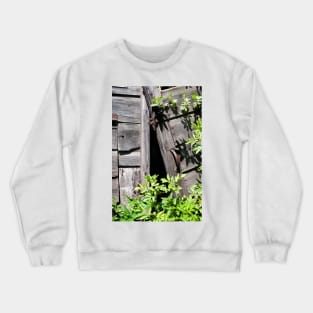 Old abandoned  shed doors being taken over by nature - Yorkshire, UK Crewneck Sweatshirt